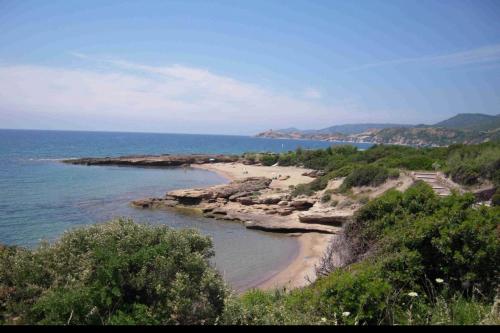 a view of a beach with trees and the ocean at Piccolo B in Bosa