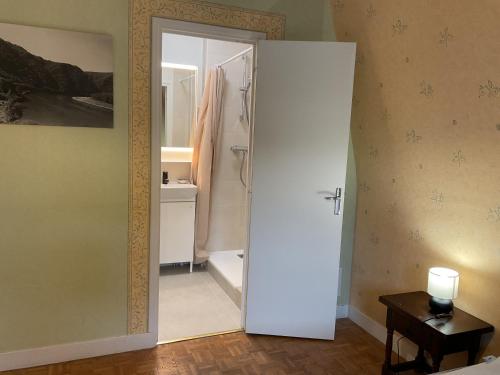 La salle de bains est pourvue d'une douche et d'une porte blanche. dans l'établissement La maison des retrouvailles aux portes de Tours, à Saint-Avertin