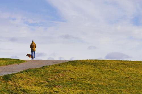 a person and a dog standing on a hill at Fördezauber - Ruhiges Ferienhaus mit eingezäuntem Garten und Kamin in Bönstrup