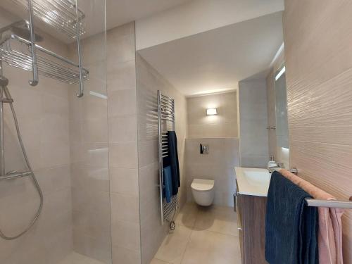 une salle de bain avec une douche, des toilettes et un lavabo dans l'établissement Magnifique Manoir proche Strasbourg et Europa Park, à Sand