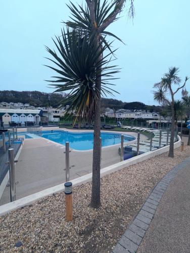a palm tree in front of a swimming pool at Relaxing Holiday Home Chickerell View Littlesea Haven in Weymouth