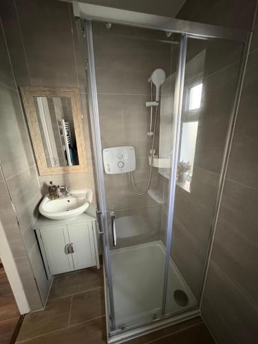 Koupelna v ubytování Studio in Dundalk