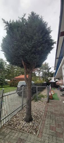 Φωτογραφία από το άλμπουμ του Sea Sun Darłówko Apartaments σε Darlowko
