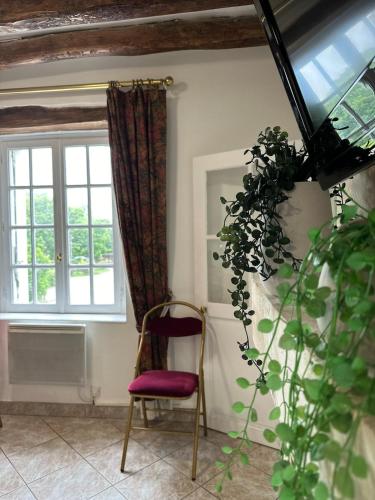 a chair in a room with a window and a plant at Duplex de groupe - 5 chambres avec SDB in Villandry