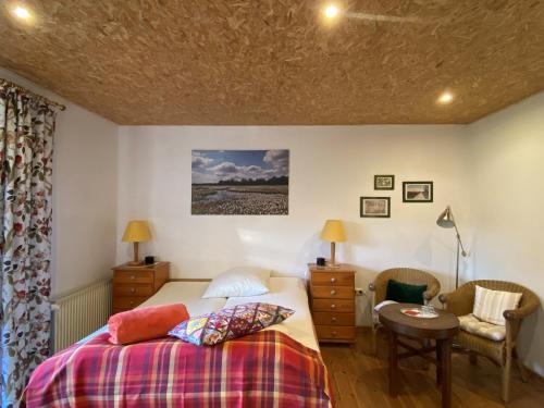 a bedroom with a bed and a desk and a chair at Schumacher's Landhaus - Bücherhotel in Friedeburg