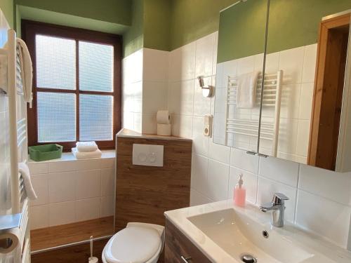 a bathroom with a toilet and a sink at Schumacher's Landhaus - Bücherhotel in Friedeburg