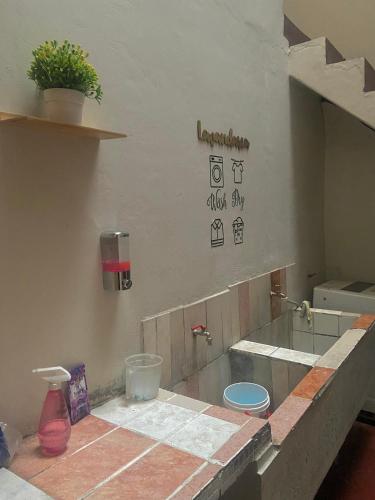 eine Küche mit einer Arbeitsplatte und einer Pflanze an der Wand in der Unterkunft Cuzco Lodgement in Lima