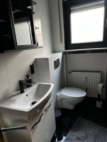 a bathroom with a sink and a toilet at Haus am See in Biersdorf