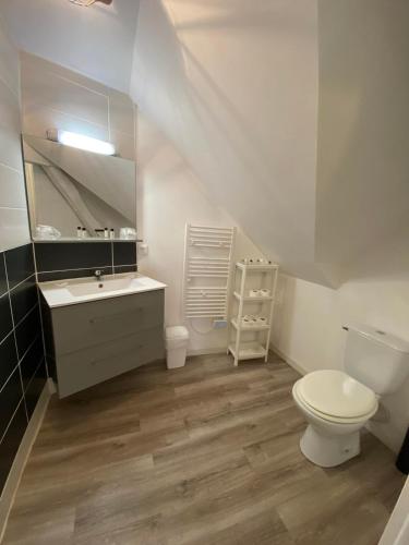 a bathroom with a white toilet and a sink at Gîte 3 chambres à Villandry in Villandry