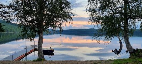 a boat on a dock on a lake at Wild Power Guesthouse in Lycksele