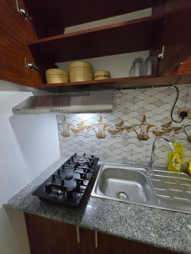 Mofat Residenceにあるキッチンまたは簡易キッチン