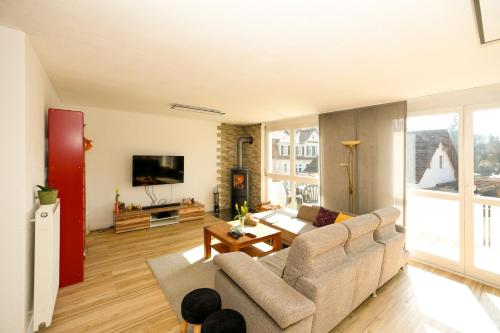 a living room with a couch and a tv at Haus Anna&Lisa in Lauchringen