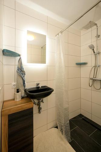 a bathroom with a sink and a shower at Haus Anna&Lisa in Lauchringen