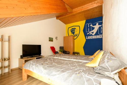 a bedroom with a bed and a television at Haus Anna&Lisa in Lauchringen