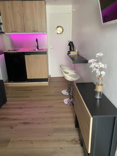 Studio cosy Cannes à 250 m de la plage, pointe Croisette
