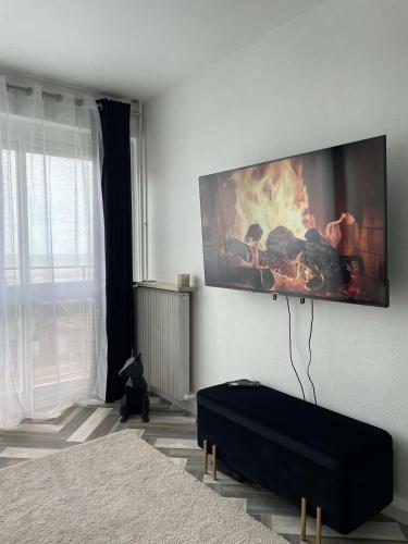 La Suite Féline - vu mer exceptionnelle !