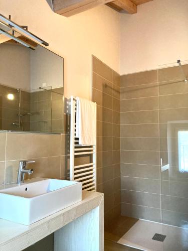 a bathroom with a sink and a mirror and a shower at Agriturismo Riondel in Affi