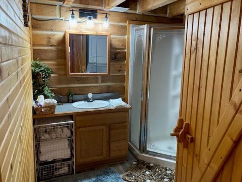 a bathroom with a sink and a shower with a mirror at Fern Crest your cabin in the woods in Birdseye
