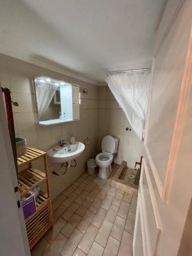 a bathroom with a toilet and a sink at ANASTASIA HOUSE in Sozopoli