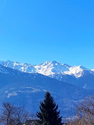 a snow covered mountain range with a tree in the foreground at Ca' Berti Teglio in Teglio