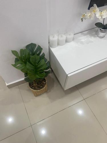 a white counter with a potted plant and three candles at Marie in Grand-Bassam
