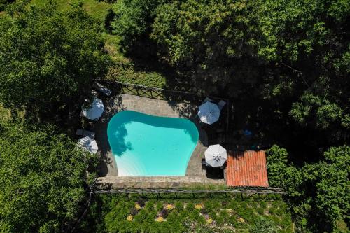 an overhead view of a swimming pool in a park at Canto del Fiume in Ortignano Raggiolo