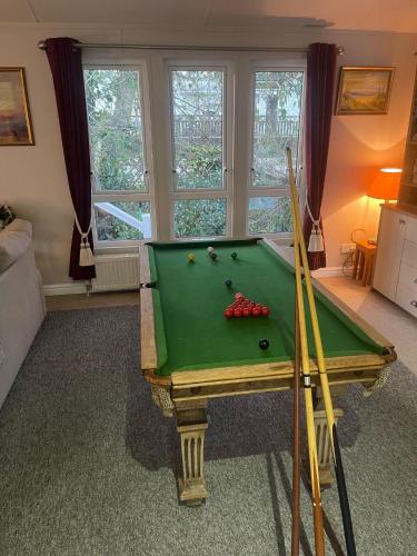 a living room with a pool table in a room at Luxury lodge T11 in Hastings