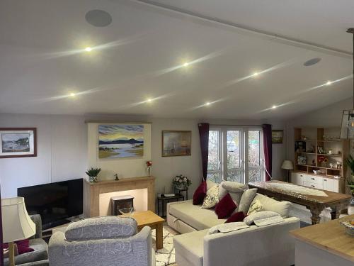 Μια τηλεόραση ή/και κέντρο ψυχαγωγίας στο Luxury lodge T11