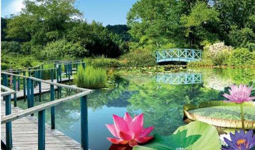 Phong cảnh thiên nhiên gần nhà nghỉ dưỡng