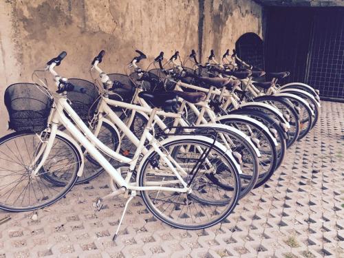 Radfahren an der Unterkunft Hotel e Ristorante Cassone oder in der Nähe