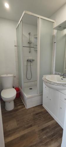 une salle de bain avec une douche, des toilettes et un lavabo dans l'établissement STUDIO PALAVAS LES FLOTS Très bien placé !, à Palavas-les-Flots
