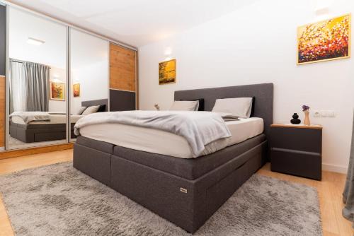 a bedroom with a large bed and a large mirror at Bogdanović Winery Apartman in Ilok