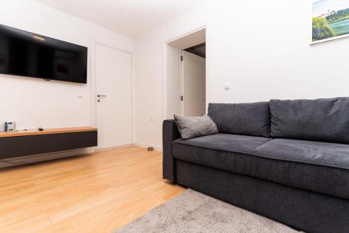 a living room with a couch and a flat screen tv at Bogdanović Winery Apartman in Ilok
