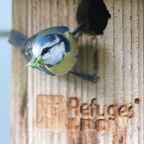 a bird is sitting on a wooden post at La maison du 1, Vexin in Gaillon-sur-Montcient