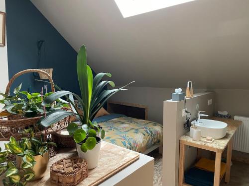 La salle de bains est pourvue d'un lavabo et d'un lit orné de plantes. dans l'établissement Au grenier du loup bleu, à Besain