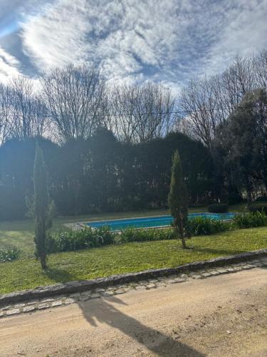 a road with trees and a pool of water at No Meio da Natureza - Turismo No Espaco Rural in Vila Nova de Famalicão