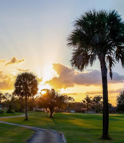 a sunset over a golf course with palm trees at Sunny Stay Orlando Queen Room 5 with Shared Bath in Orlando