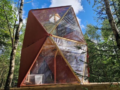 una casa de cristal en medio del bosque en Vajra Dome, en Örby