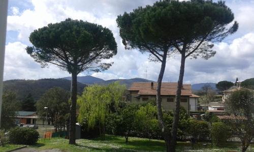 two trees in a yard in front of a house at La Palazzina in Chiusdino
