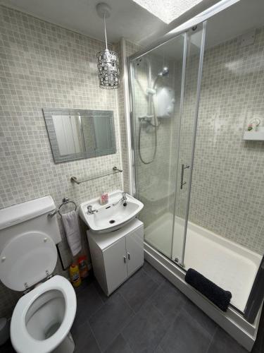 une salle de bain avec toilettes, douche et lavabo dans l'établissement Laurel Country Cottage, à Ballymena