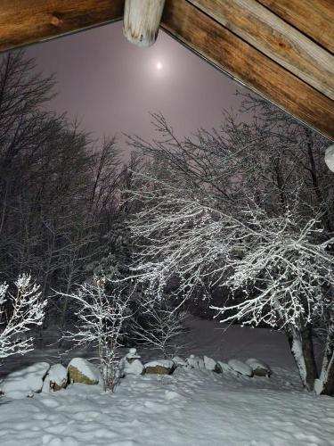 Colby's Cabin RUSTIC Off Grid Wilderness Retreat v zimě