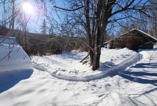 Colby's Cabin RUSTIC Off Grid Wilderness Retreat v zimě