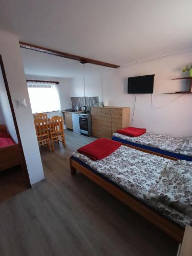 a small room with two beds and a kitchen at Malinowy Gaj - Agroturystyka z alpakami i innymi zwierzętami in Świętajno