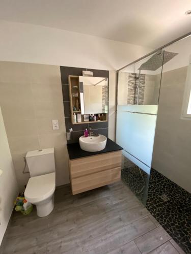 une salle de bain avec toilettes, lavabo et douche dans l'établissement Villa de charme Parentis en Born, à Parentis-en-Born