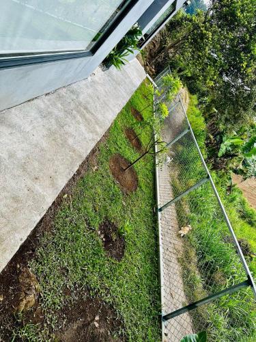 Taman di luar Casa Money