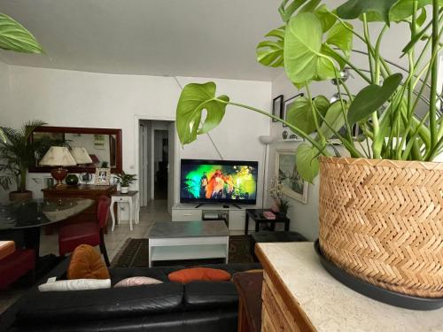 un salon avec un canapé noir et une plante dans l'établissement Appartement Paris 10ème arrondissement, à Paris