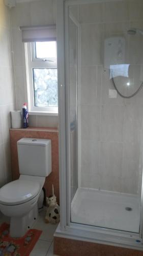 a bathroom with a white toilet and a shower at Lovely Chalet 15, Seadell Park in Hemsby