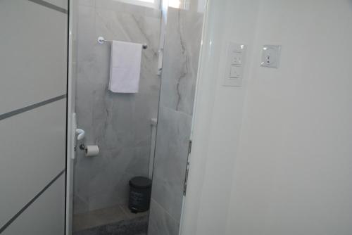 a bathroom with a shower with a glass door at Turquoise Apartment in Novi Pazar