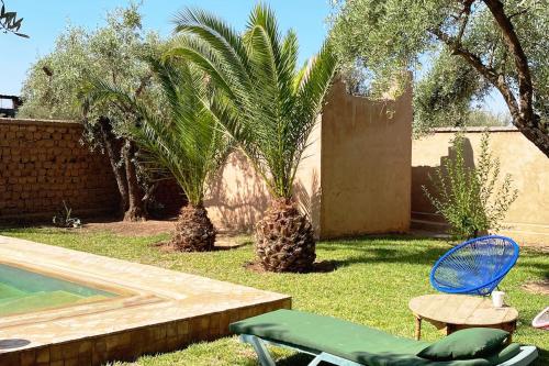 a yard with two palm trees and a pool at DAR TITRIT Charming house with garden and pool in Akhatar