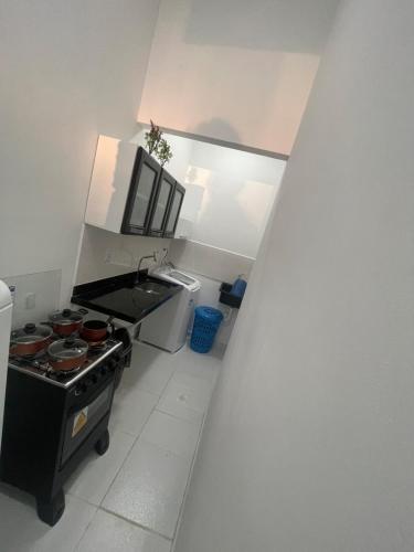 Una pequeña cocina con estufa y fregadero. en Great House1, en Manaus